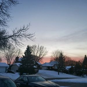 Meet your Posher, Tenzin